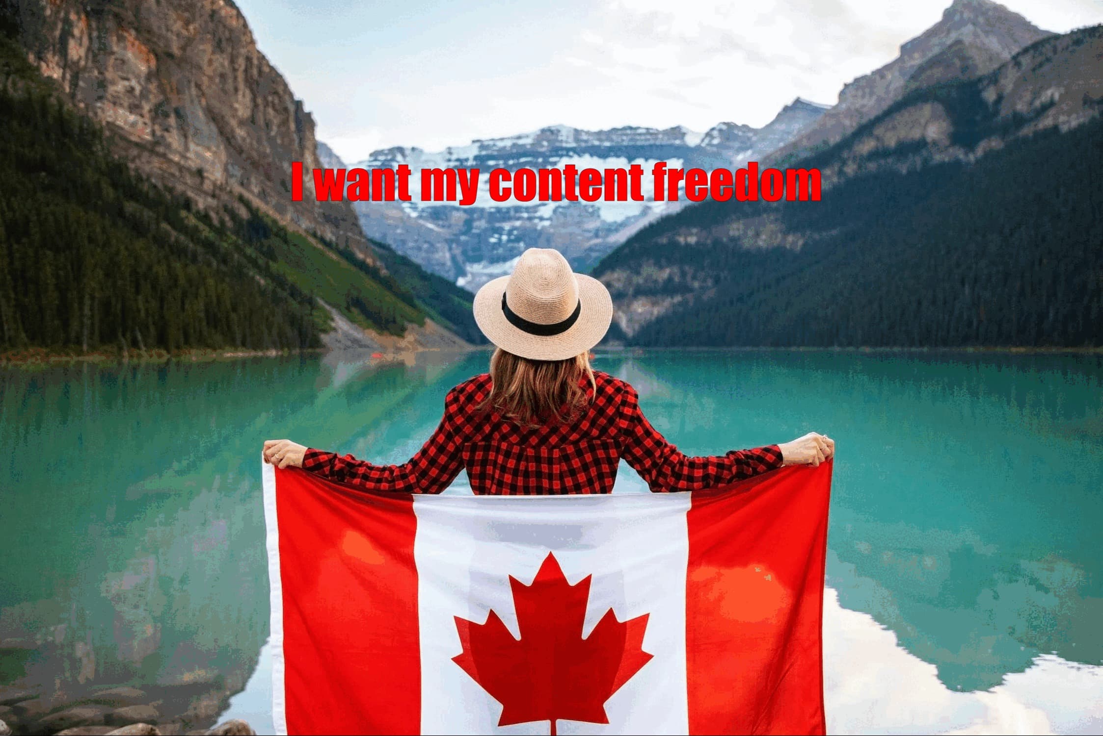 Discover card cover image