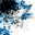 Blog icon